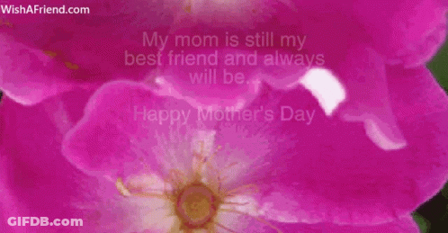 Happy Mothers Day Message With Pink Flower GIF