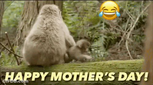 Happy Mothers Day To Best Mama GIF