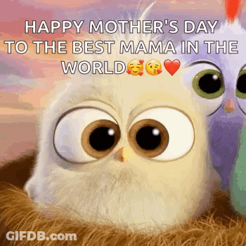 Happy Mothers Day To Best Mama GIF