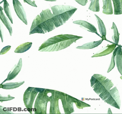 Happy Namesday Watercolor Leaves GIF