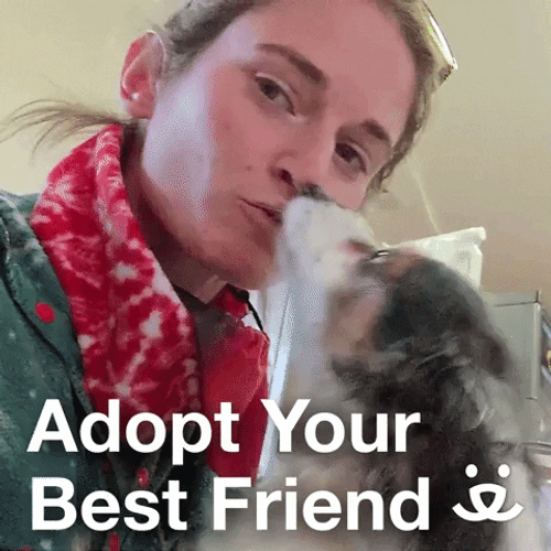 Happy National Dog Day Adopt Your Bestfriend GIF