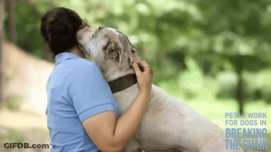 Happy National Dog Day Breaking The Chain GIF