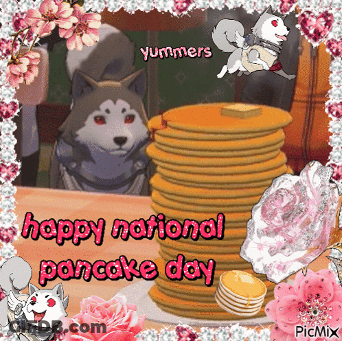 Happy National Pancake Day Husky With Pancakes GIF