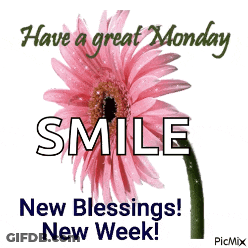 Happy New Week GIF