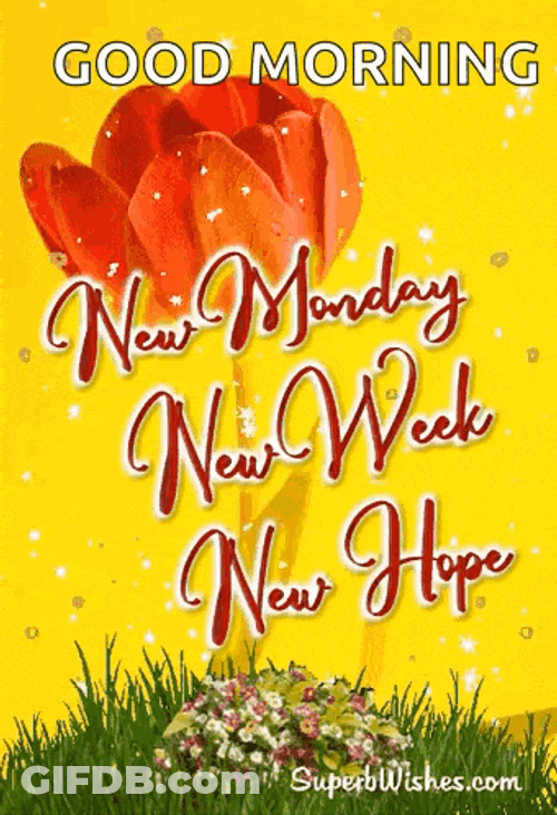 Happy New Week GIF