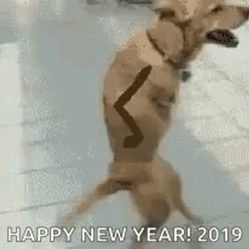 Happy New Year 2019 Funny Dog Walking Animation GIF