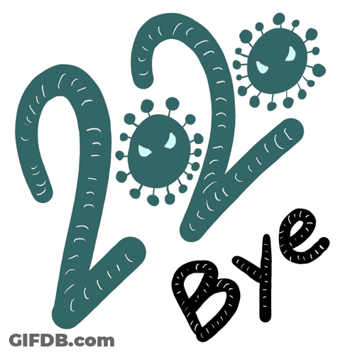 Happy New Year 2021 Bye 2020 Black Cat GIF