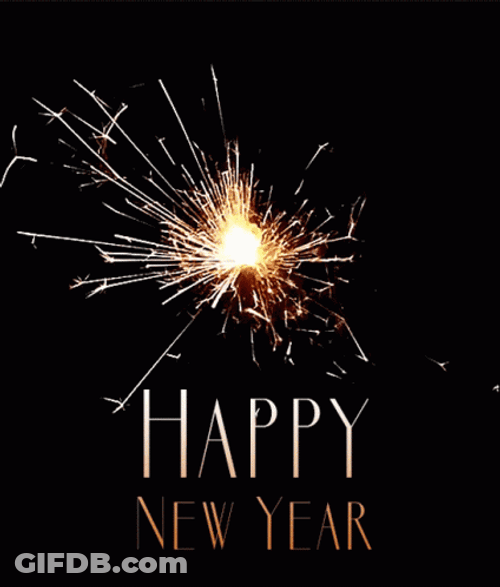 Happy New Year 2021 Celebrate Sparkle Fireworks GIF