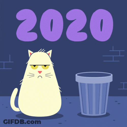 Happy New Year 2021 Funny Animated Cat Trash GIF
