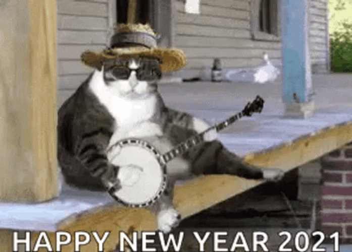 Happy New Year 2021 Funny Cat Playing Instrument GIF