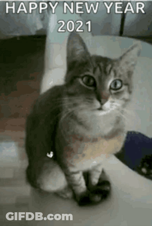 Happy New Year 2021 Party Cat Confetti Meme GIF