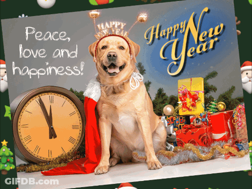 Happy New Year Dog Greeting Card GIF