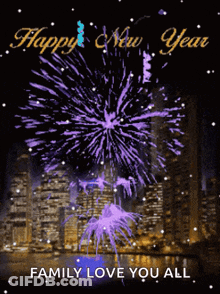 Happy New Year Fireworks Family Love You All GIF