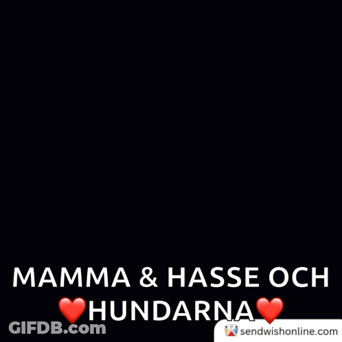 Happy New Year Mamma & Hasse Och Hundarna GIF