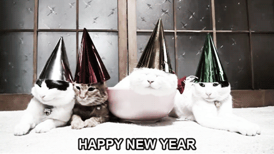Happy New Year Sleepy Cats GIF
