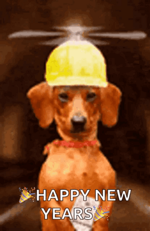 Happy New Year Wiener Dog GIF