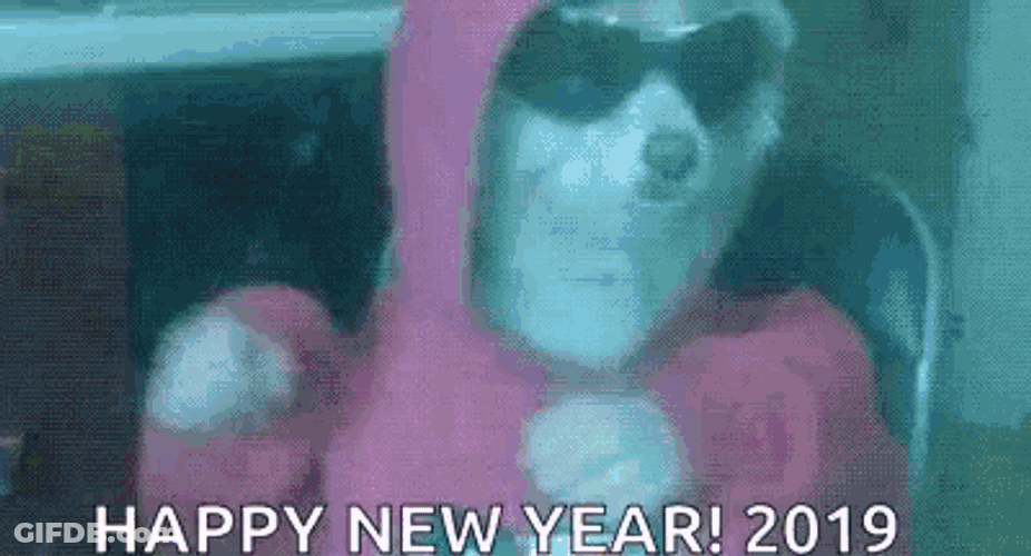 Happy New Year2019 Dog GIF