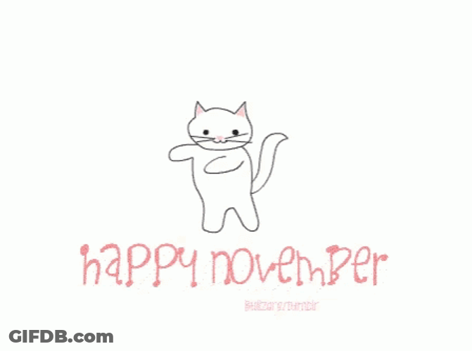 Happy November 1St Dancing Cat GIF