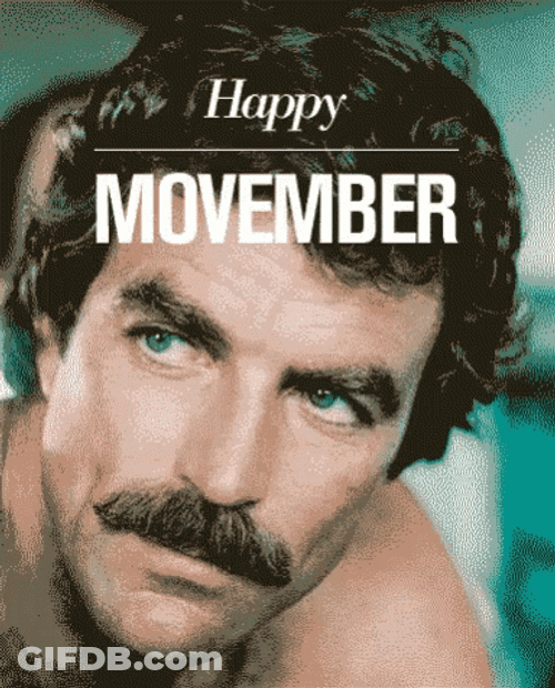 Happy November Mustached Actor Tom Selleck GIF
