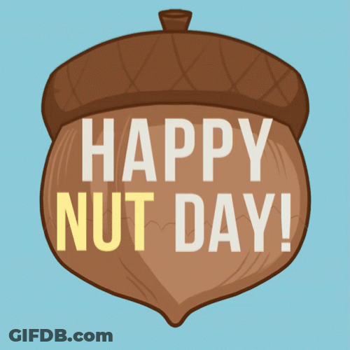 Happy Nut Day GIF