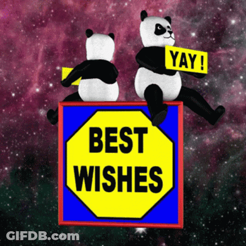 Happy Panda Best Wishes Yay GIF