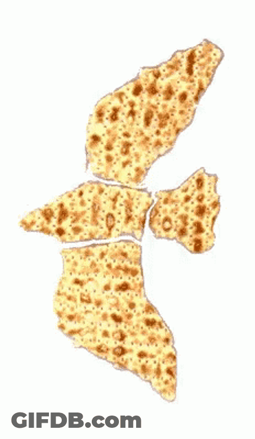 Happy Passover Matzah Flatbread Bird Fly GIF