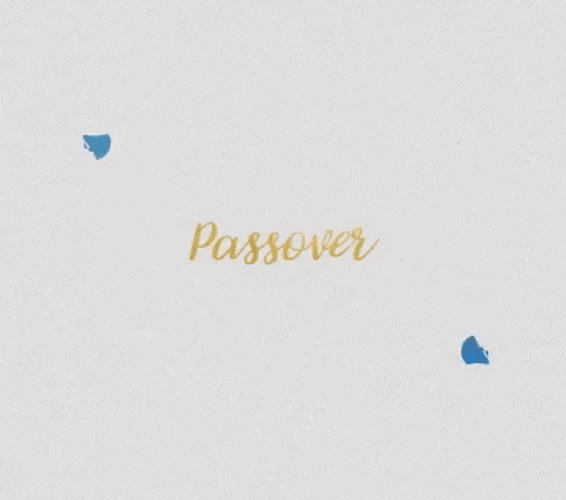 Happy Passover Star Of David Flowers GIF