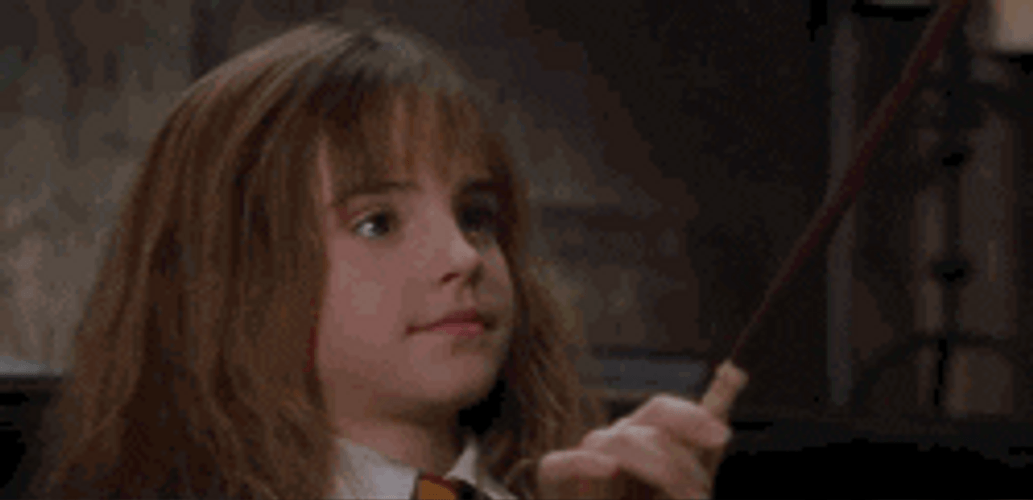 Happy Potter Hermione Side Eye GIF