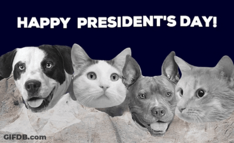 Happy Presidents Day From Pets GIF