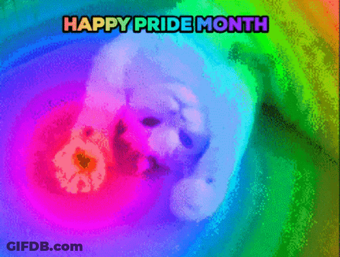 Happy Pride Month Cute Cat GIF