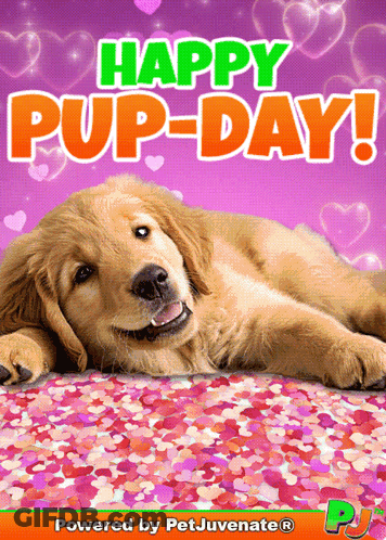 Happy Pup Day Poster With Puppy Laying On Confetti GIF