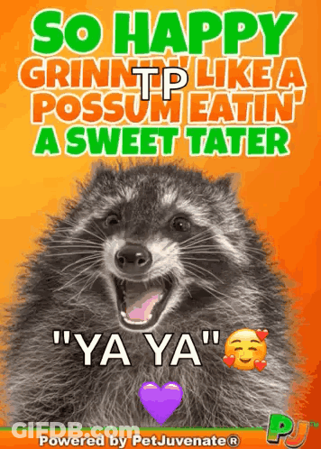 Happy Pup Day Poster With Puppy Laying On Confetti GIF