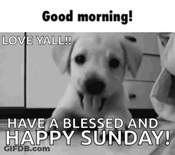 Happy Puppy Cute Sunday GIF