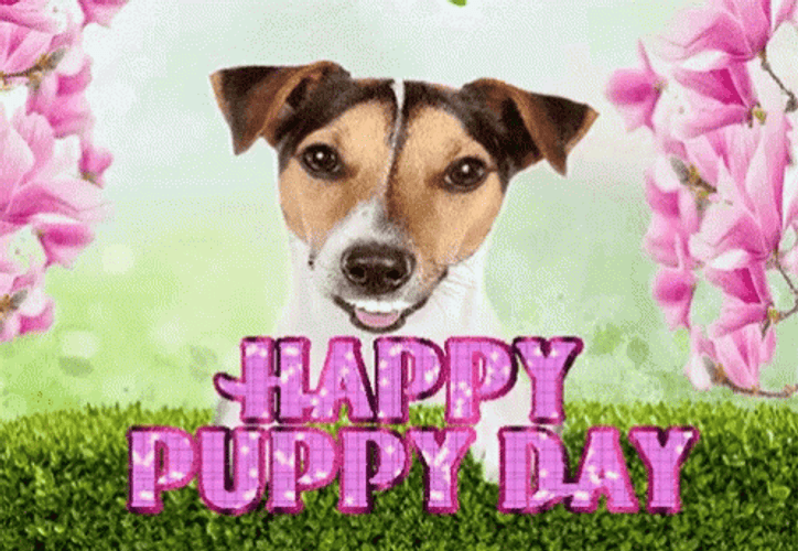 Happy Puppy Dog Day GIF