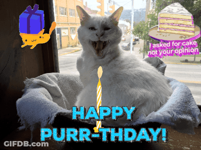 Happy Purr Birthday Cat Surprise GIF
