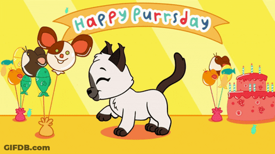 Happy Purrsday Animated Cute Cat GIF