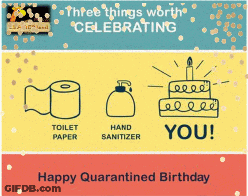Happy Quarantined Birthday Card Toilet Paper Hand Sanitizer You GIF