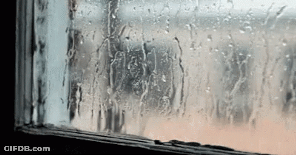Happy Rainy Monday Window Pane GIF