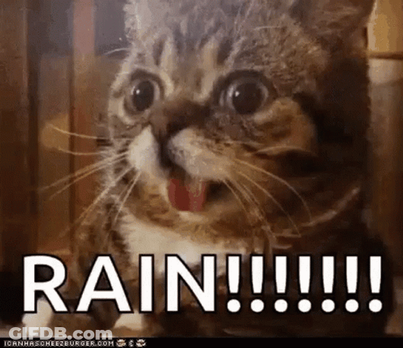 Happy Rainy Rain Monday GIF