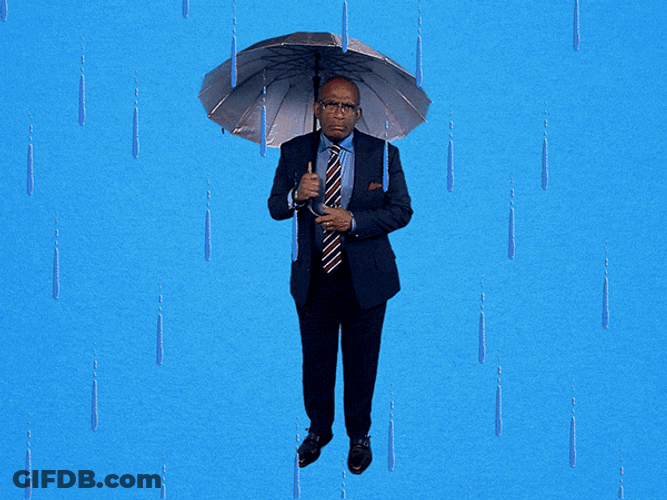 Happy Rainy Sunday Al Roker GIF