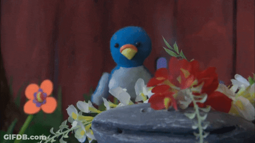Happy Rainy Sunday Blue Bird GIF