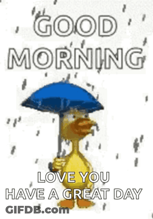 Happy Rainy Sunday Duckling GIF