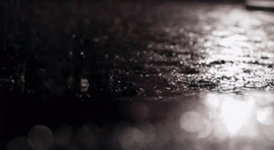 Happy Rainy Sunday Gloomy GIF