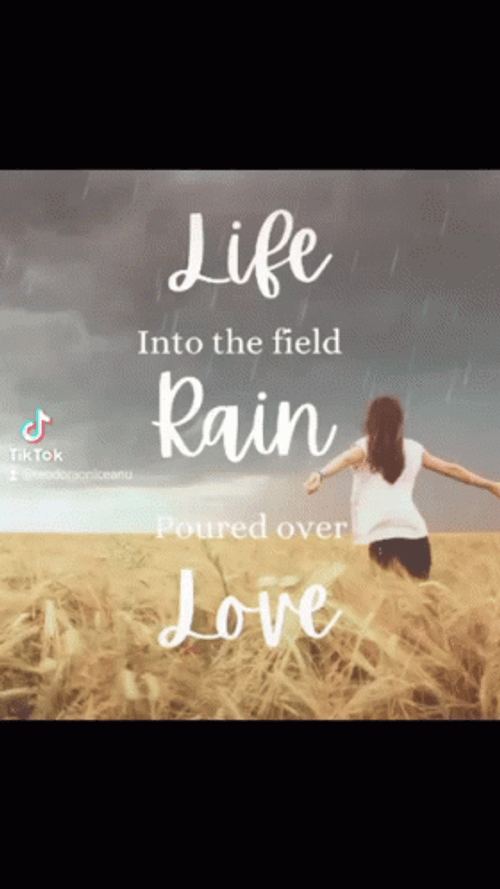 Happy Rainy Sunday Life And Love GIF