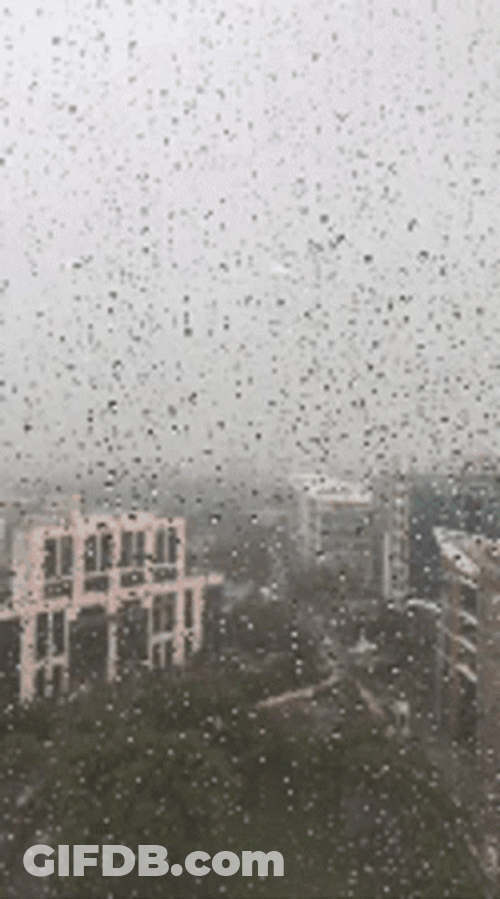 Happy Rainy Sunday View GIF