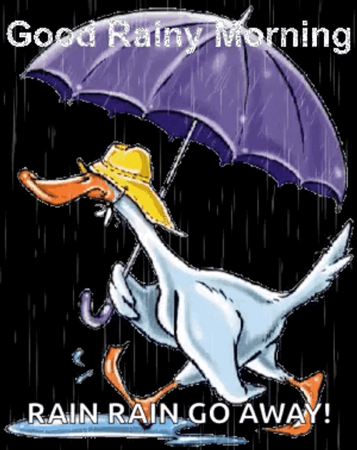 Happy Rainy Wednesday Duck GIF