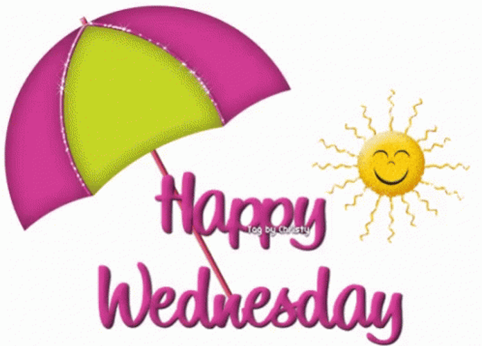 Happy Rainy Wednesday Shade GIF
