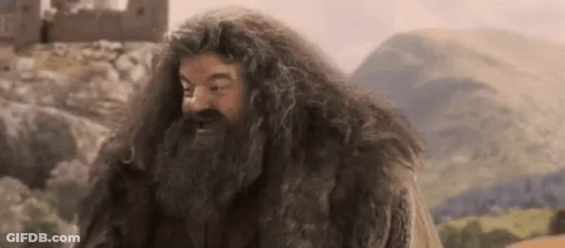 Happy Rubeus Hagrid GIF