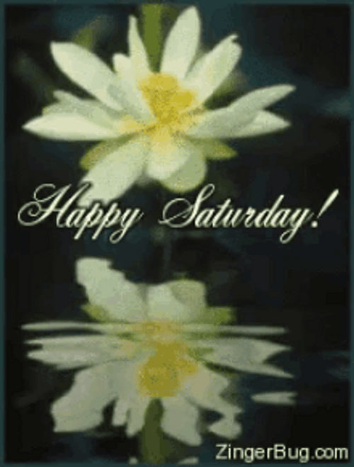 Happy Sabbath Flower Background GIF