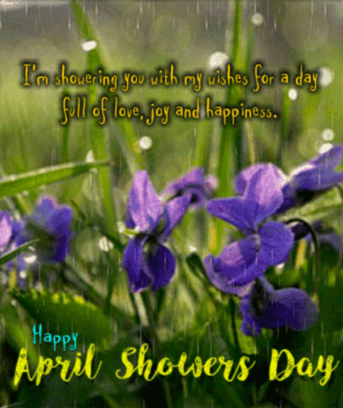 Happy Sabbath Violet Flowers GIF